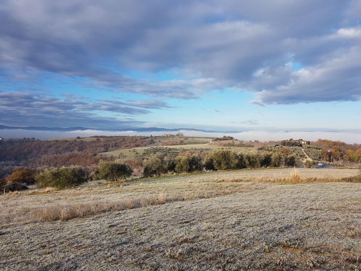 Bed and Breakfast La Collina Дерута Экстерьер фото